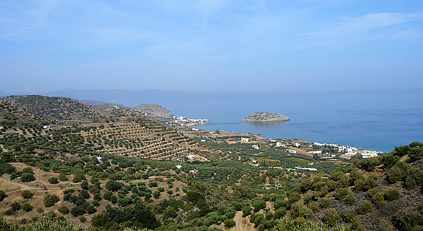 Vy över Mochlos från vägen till Sitia på Kreta.