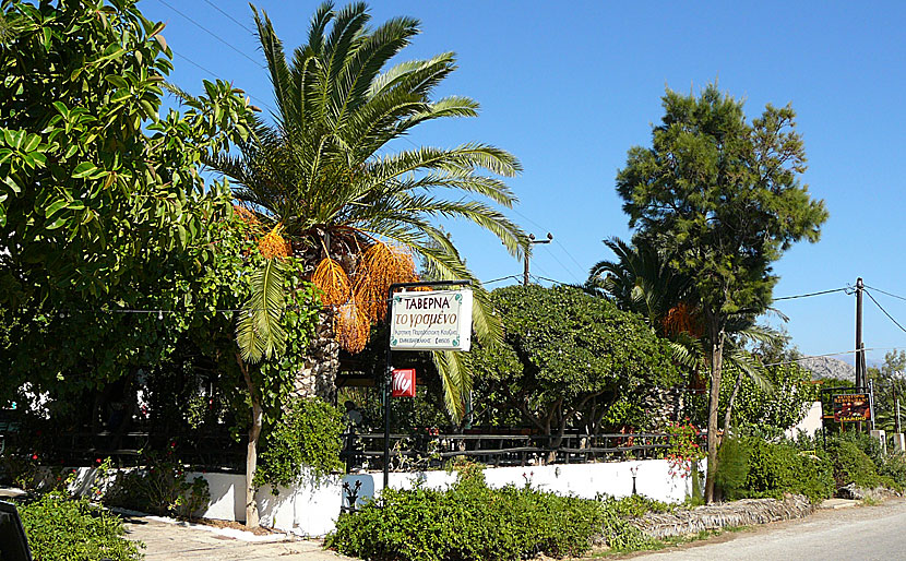 Taverna To Grammeno . Paleochora. Kreta.