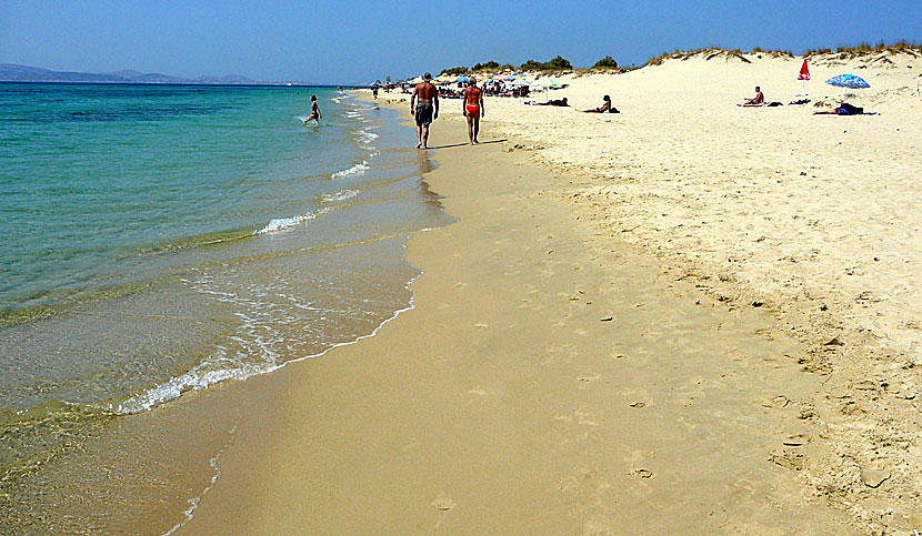 Plaka beach. Naxos.