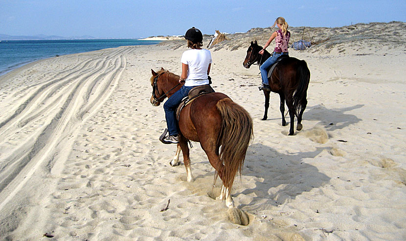 Rida häst på Plaka beach på Naxos.