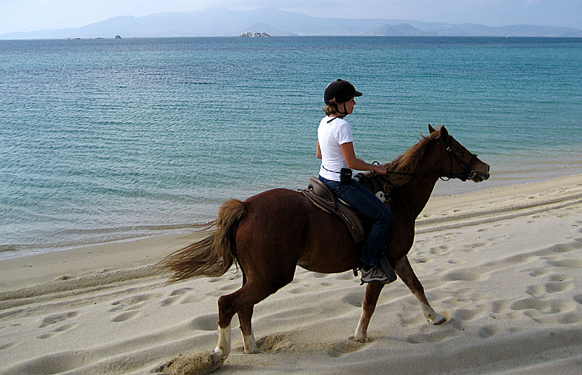 Rida häst längs stränderna på Naxos i Grekland.