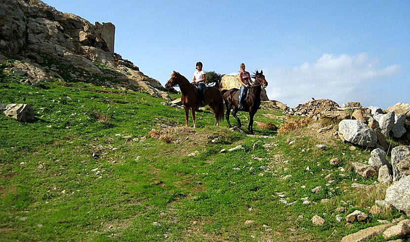 Hästridning i bergen på Naxos. 