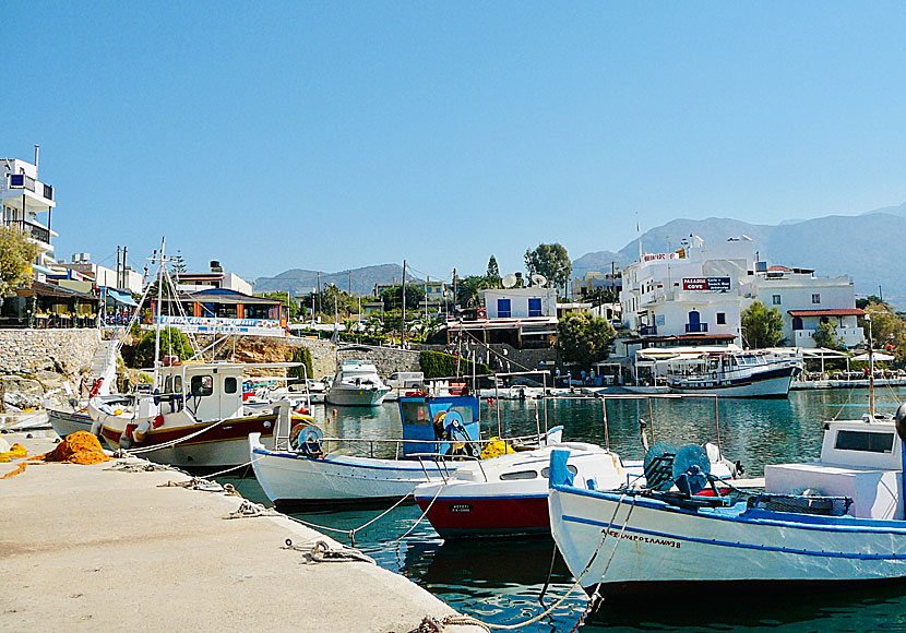 Sissi är en av de mysigaste byarna nära Heraklion på norra Kreta.
