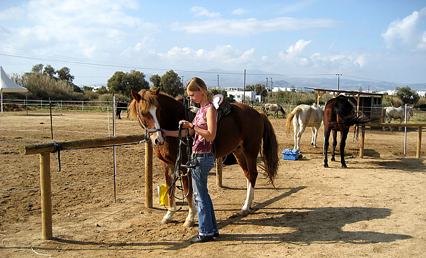 Stamatis Horseriding Centre. Naxos.
