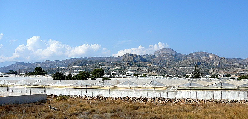 Växthus på södra Kreta.