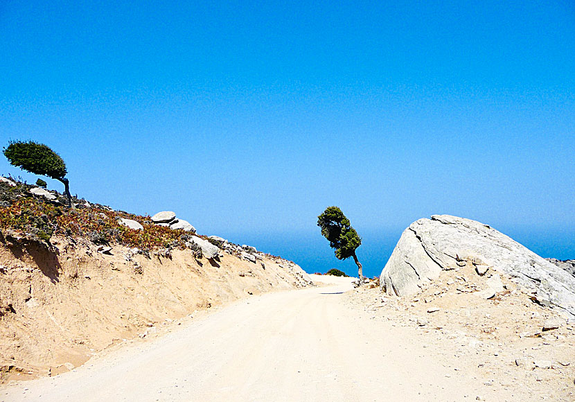 Vägen till Karkinagri på Ikaria.