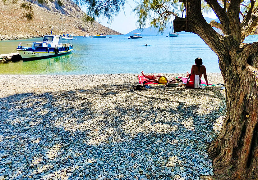Det finns inga solstolar att hyra vid Palionisos beach, men det finns gott om skugga från tamariskträden.