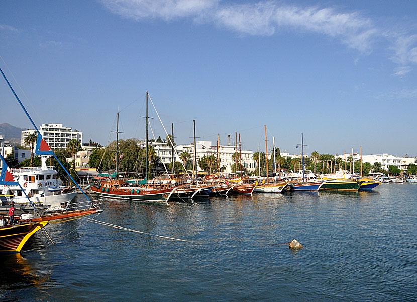 Utflyktsbåtar i hamnen i Kos stad.