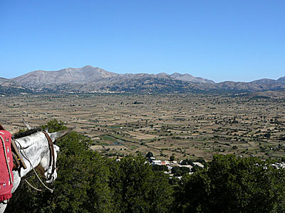 Lasithiplatån på Kreta.