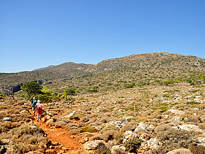 Vandra till Lissos nära Sougia på Kreta.