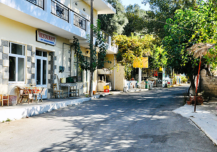Alfa Café and Rooms. Azogires. Paleochora. Kreta.