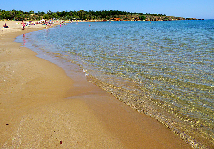 Chrissi Akti (Golden beach) beach väster om Chania på Kreta.