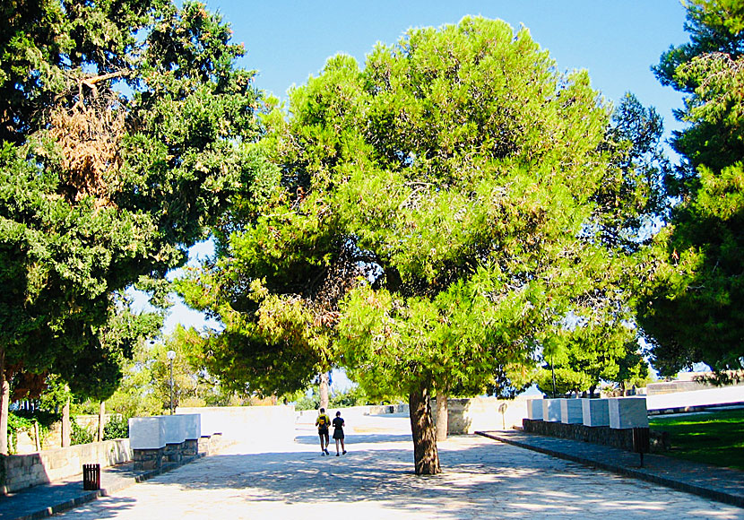 Parken med Eleftherios Venizelos grav i Chania.