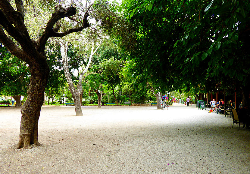 Chanias stadspark är en liten oas. 