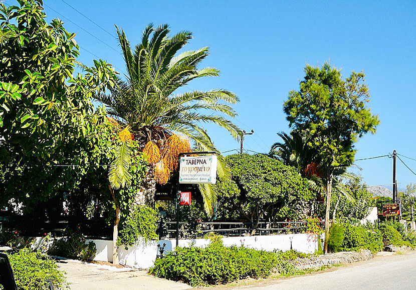 Taverna Grameno i Paleochora på Kreta.