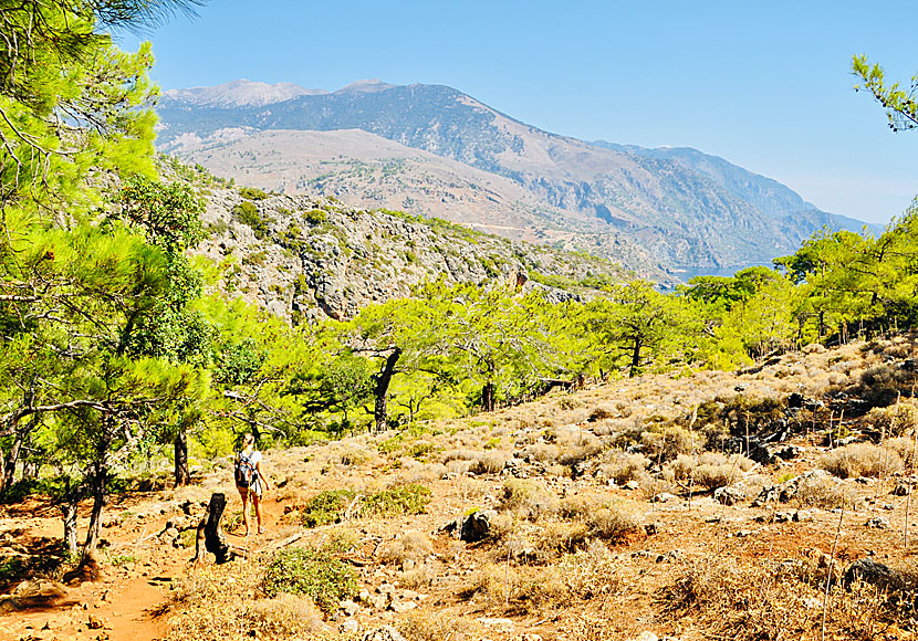 Vandra i Paleochora och Sougia på södra Kreta. 