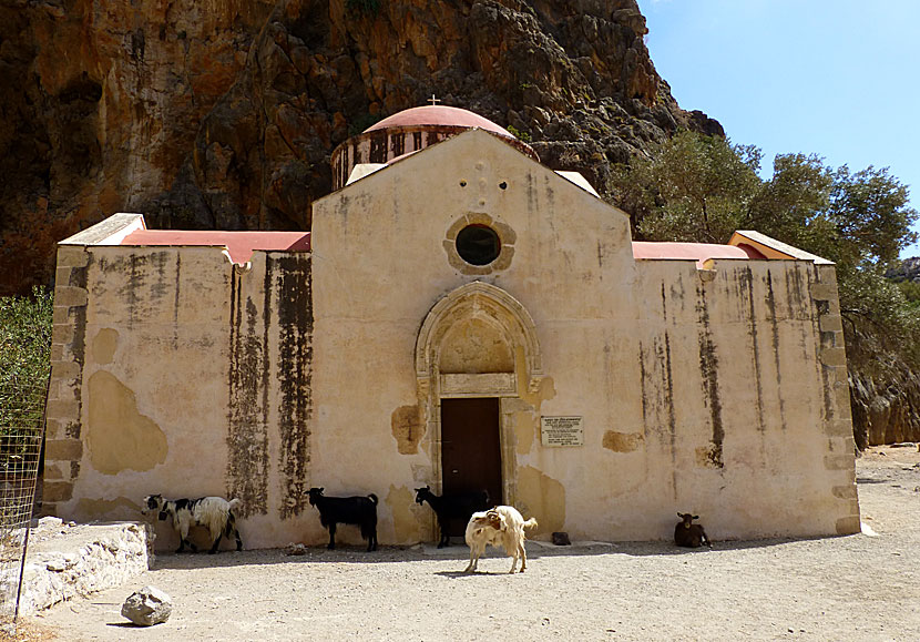 Agios Andonios church. Agiofarago. Kreta.