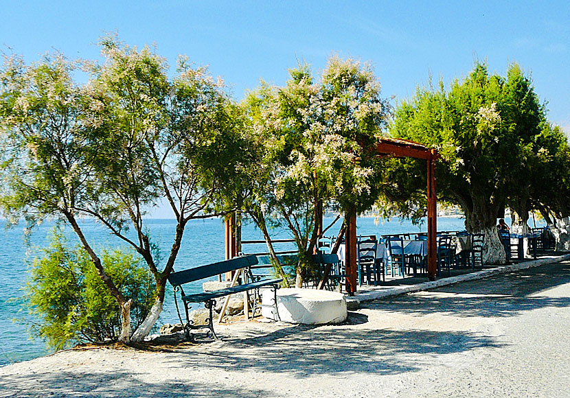 Hotell, restauranger och tavernor i  Keratokambos på Kreta.