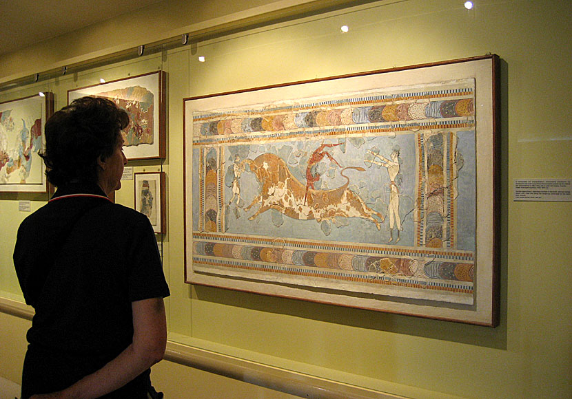 Den berömda freskmålningen med tjurakrobaterna i Knossos på Kreta.