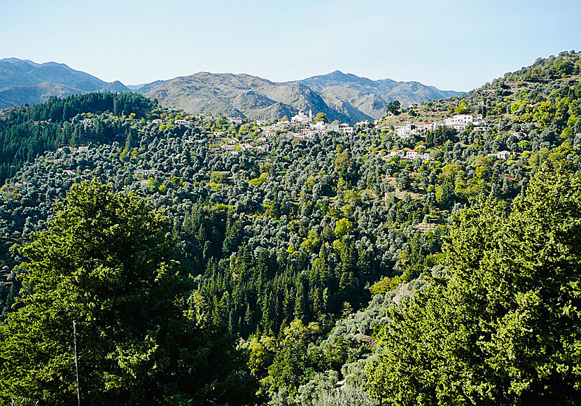 Byn Lakki längs vägen upp till Samariaravinen på Kreta.