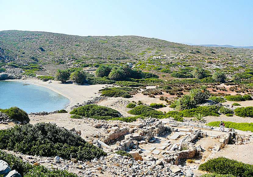 Palmstranden Itanos nära Vai beach på östra Kreta.