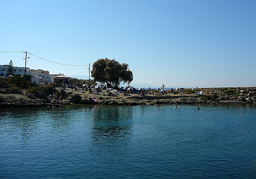 Bada från klippor i Sissi på Kreta.