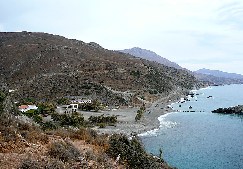 Ammoudi beach på Kreta där det finns taverna, minimarket och rum att hyra.