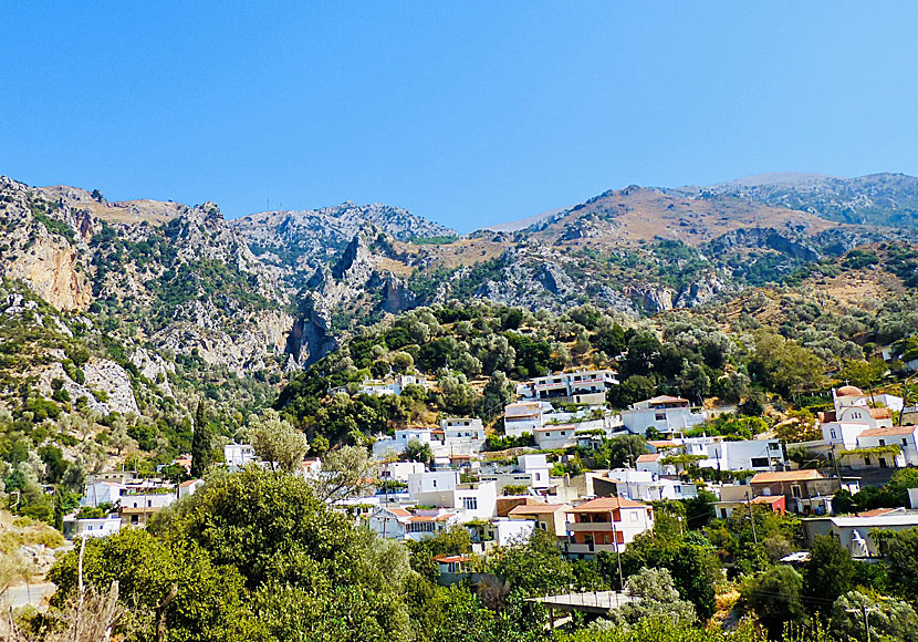 I den genuina byn Platania på Kreta börjar vandringen till Platania Gorge och i  Amaridalen. 