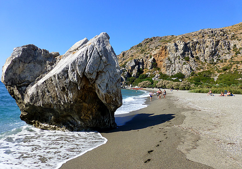 Palmstranden Preveli beach på södra Kreta nära Plakias. 