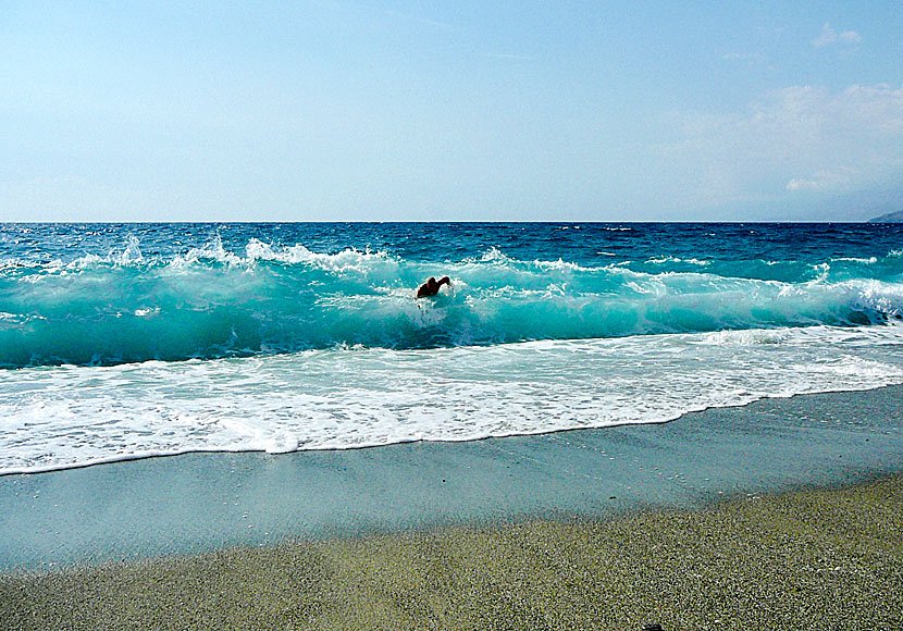 Magsurfa och vind- och kitesurfa på stränderna i Triopetra och Agios Pavlos på Kreta.