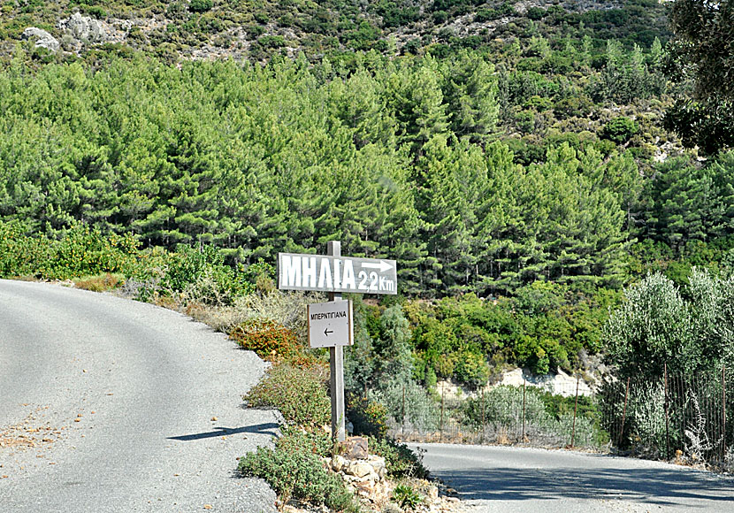 Vägen till Milia i Chania län på Kreta är i gott skick utom de sista kilometerna.