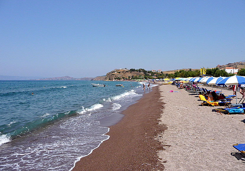 Lesbos bästa stränder. Anaxos beach.