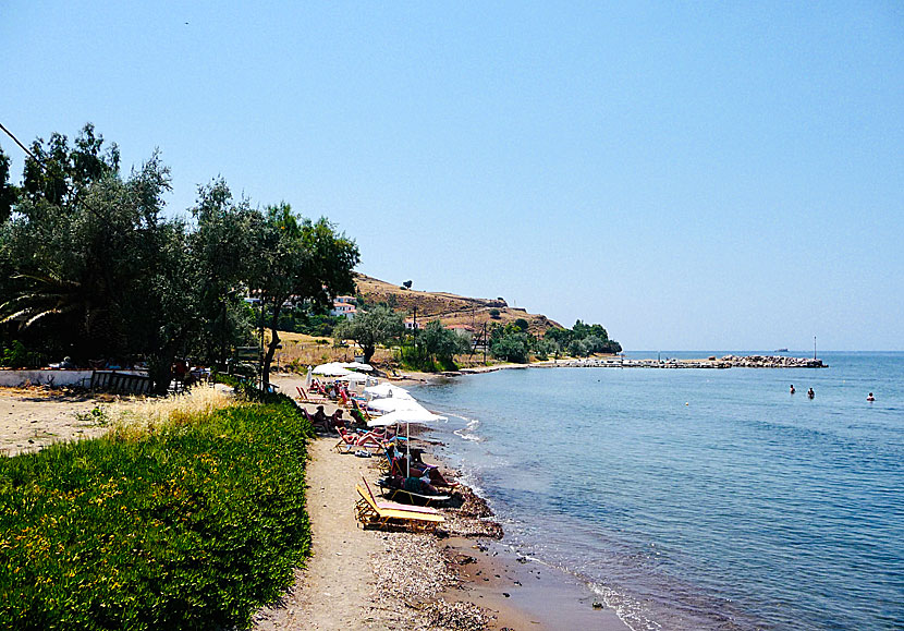 Avlaki beach ligger mellan Anaxos och Petra på Lesbos.