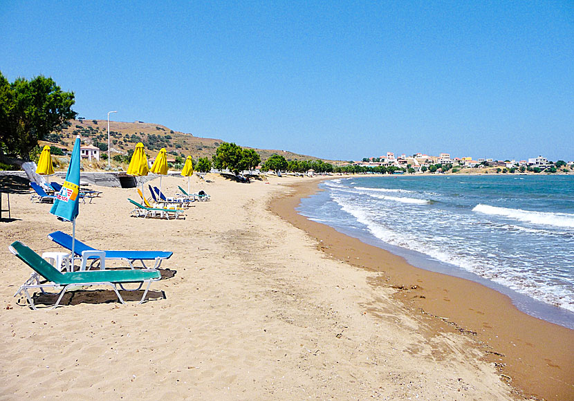 Gavathas beach ligger väster Anaxos, Petra och Molyvos på Lesbos.