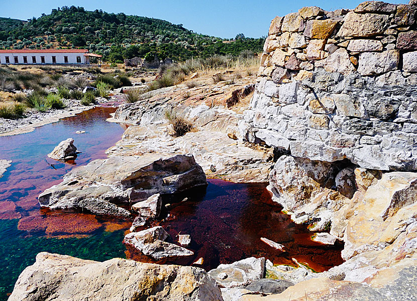 Missa inte Hot Springs of Polichnitos som ligger nära Vatera beach på Lesbos.