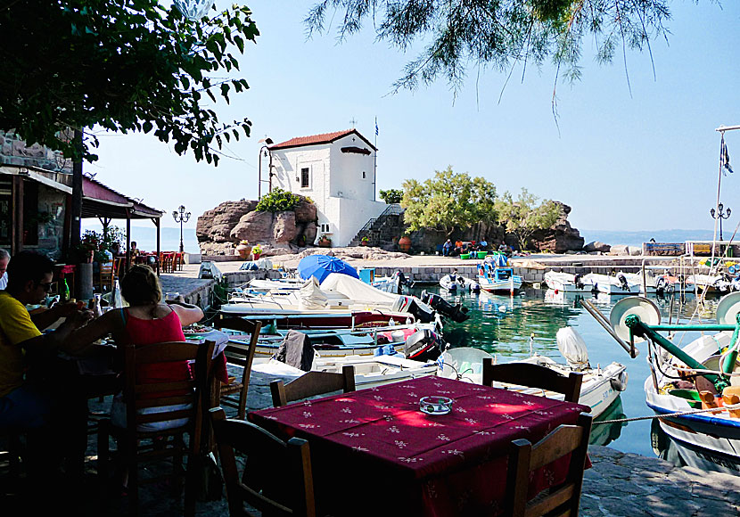 Tavernor i Skala Sikaminias på Lesbos.