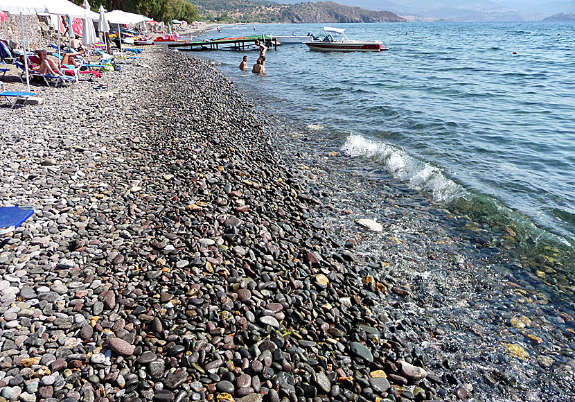 Lesbos bästa stränder. Molyvos beach.