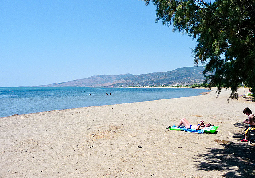 Lesbos bästa stränder. Skala Kalonis beach.