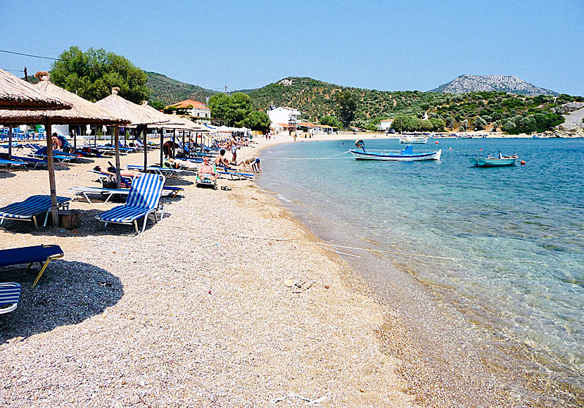 Tarti beach ligger öster om Agios Isidoros på Lesbos.