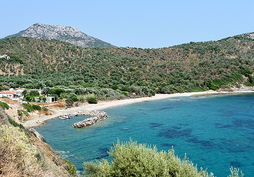 Tsafi beach ligger öster om Agios Isidoros på Lesbos.