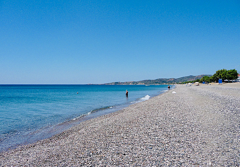 Lesbos bästa stränder. Vatera beach.