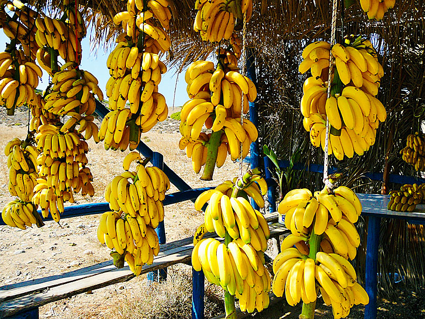 Bananer fr&aring;n Kreta i Grekland.