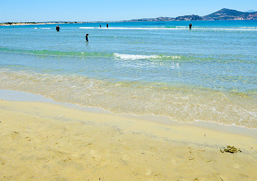 Den långgrunda och barnvänliga Saint George beach på Naxos i Kykladerna.