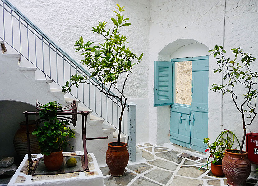 Innergården på Vallindras Kitrondestilleri i Chalki på Naxos där det växer några kitronträd.