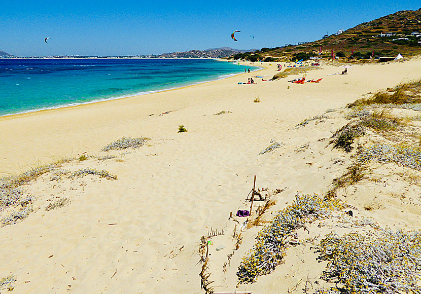 Mikri Vigla beach. Naxos.