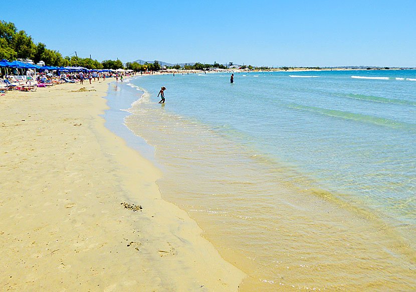 Barnvänliga Agios Georgios beach nära Naxos stad.