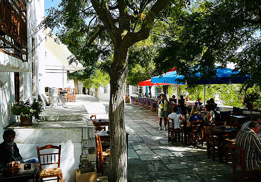 Tavernor och restauranger på torget i Apiranthos på Naxos.
