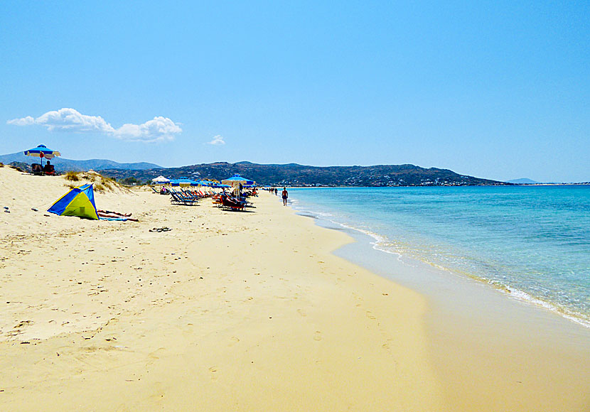 Plaka beach är Naxos bästa sandstrand. 