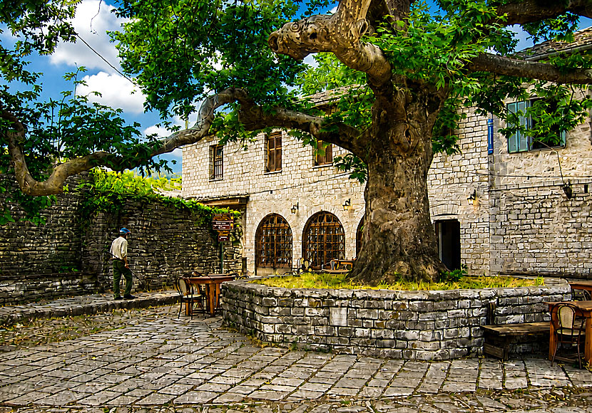 Tavernor och restauranger i Monodendri i Zagori Epirus.