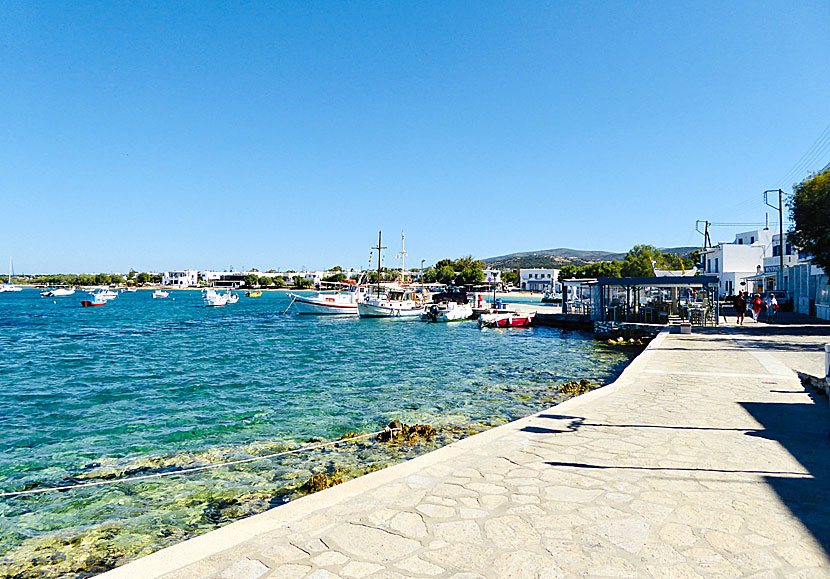 Längs hamnpromenaden i Aliki på Paros ligger många bra restauranger och tavernor.